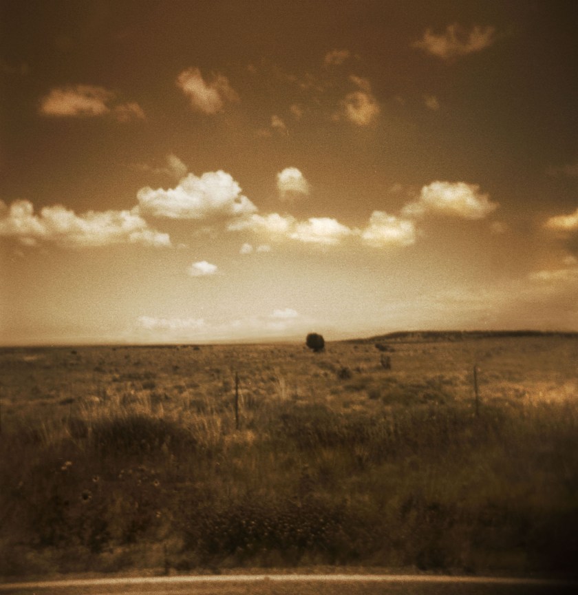 Lone Tree Praire-Comanche National Grasslands